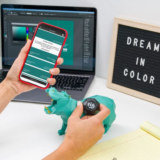 mini 2 scanning hippo